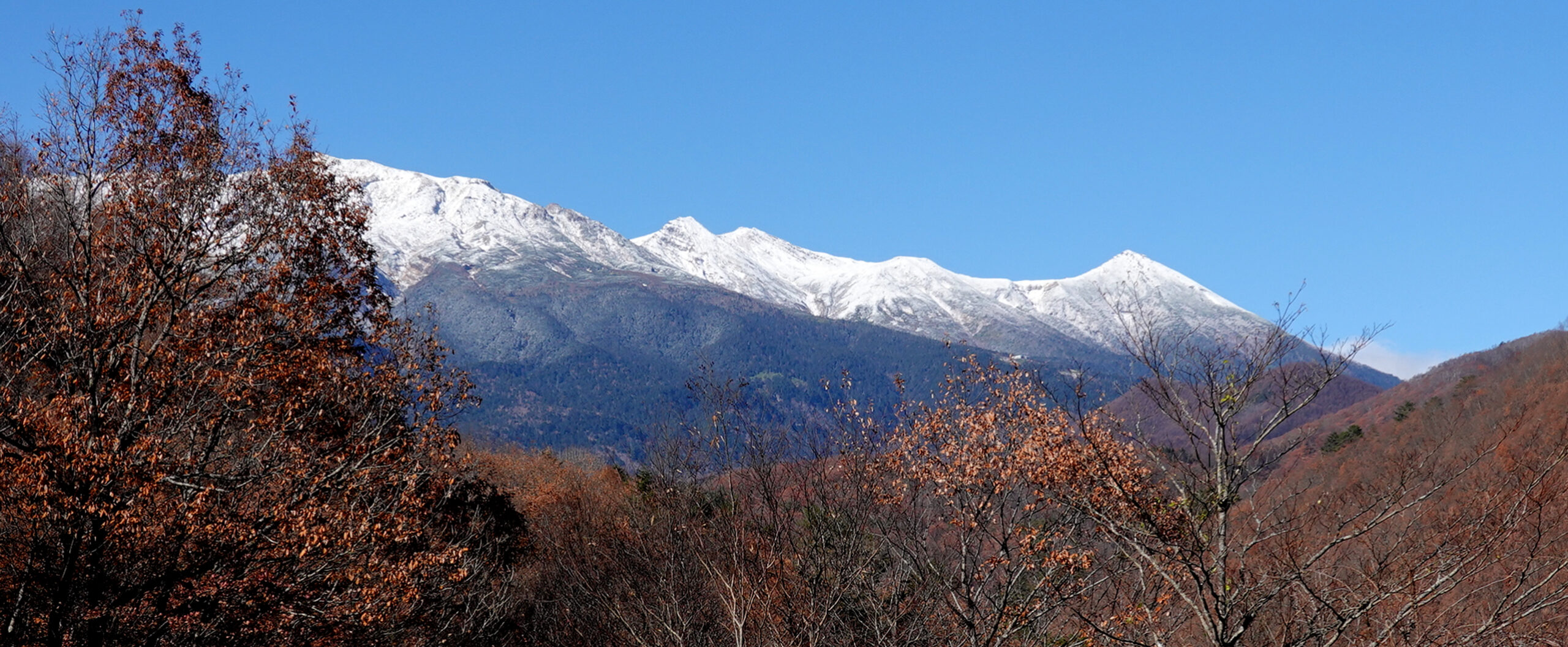 御嶽山火山防災協議会 公式サイト